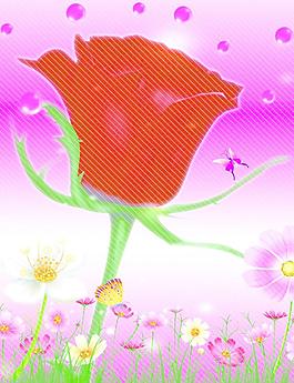 花草圖片