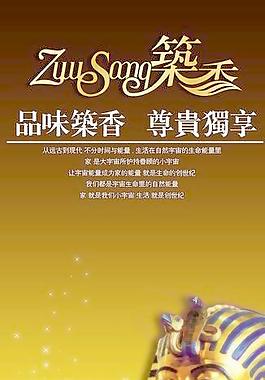 美容金字塔x展架图片