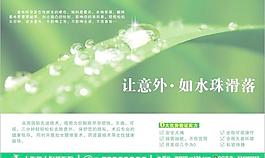 车单图片