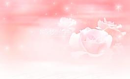 花朵背景素材圖片