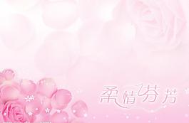 柔情芬芳圖片