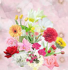 鮮花圖片