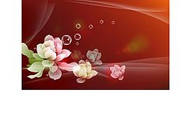 水中花图片
