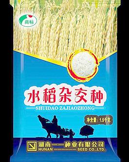 水稻包裝圖片