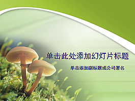 草地上的兩朵蘑菇PPT模板