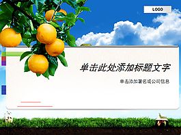 成熟橘子掛滿枝頭PPT模板