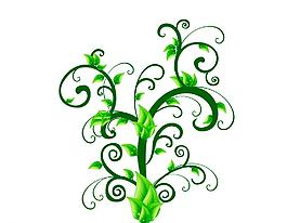 植物圖片