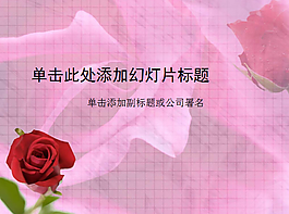 粉紅背景的玫瑰花PPT模板