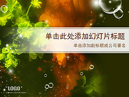 含苞待放的秋海棠PPT模板