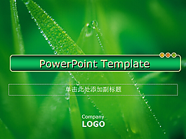 蘆薈葉子綠色清爽PPT模板