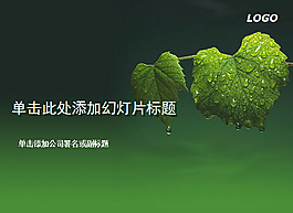 綠色可人葡萄葉子PPT模板