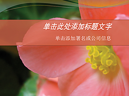 漂亮精美紅色花瓣