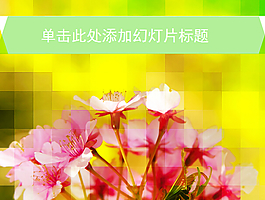 漂亮美观红色花朵