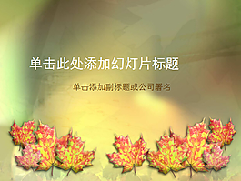 飄落下的紅色楓葉