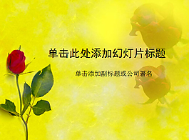 一束紅色的玫瑰花