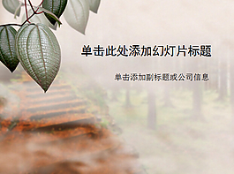 枝頭上的漂亮樹葉PPT模板
