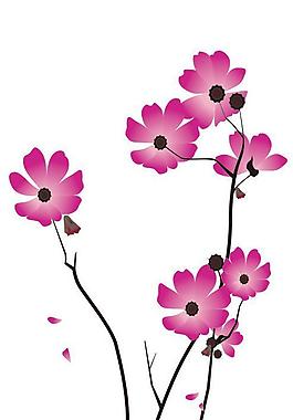 花卉圖片