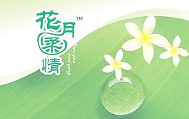 紙巾包裝圖片