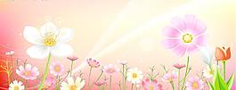 花朵素材图片