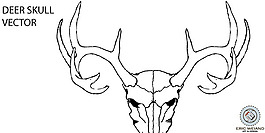矢量動物