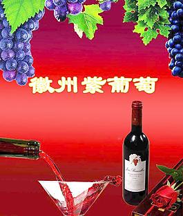 葡萄酒圖片