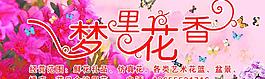 夢里花香 花店圖片