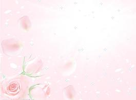 浪漫花背景圖片