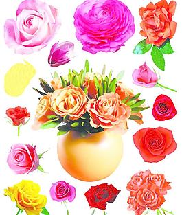 鮮花圖片