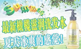 橄榄图片