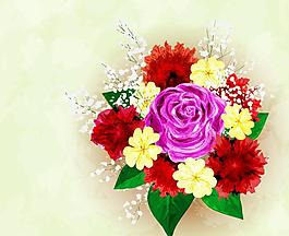 花卉圖片