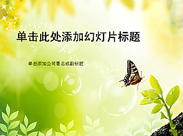 綠色植物上的蝴蝶