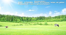 草原圖片