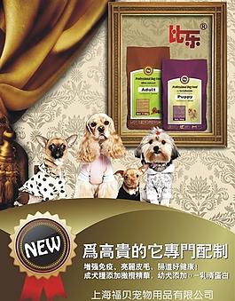 狗糧圖片