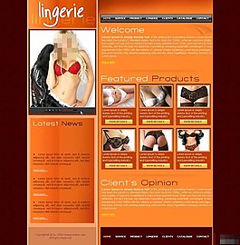 誘人的風格女士內衣網(wǎng)頁模板
