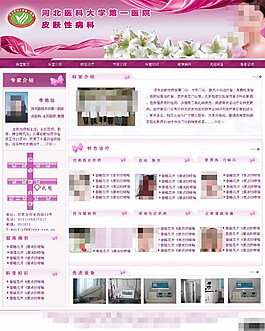 医院皮肤科网页模板