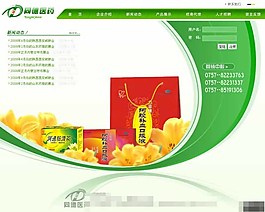 医药保健品企业网页模板