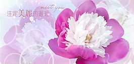花朵素材圖片