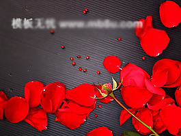 玫瑰花瓣P(guān)PT
