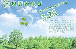 世界森林日圖片