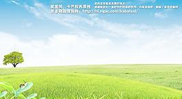 草地圖片