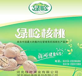 綠嶺核桃包裝圖片