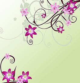 百合 花紋圖片
