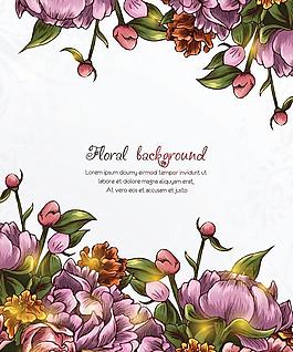牡丹花卡片圖片