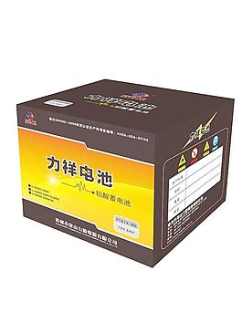 電池包裝（展開圖）圖片