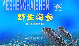 海参包装设计图片