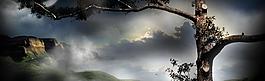 梦幻风景图片