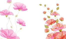 愛的綻放圖片