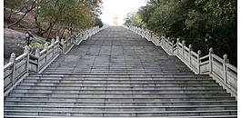 千层圣梯图片