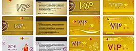 VIP金卡和会员卡矢量素材