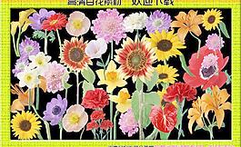 百花篇高清素材图片